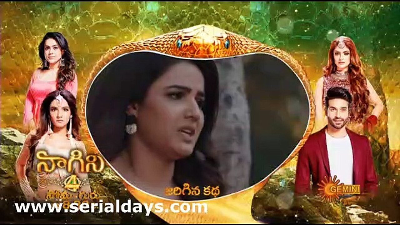 naagini 4 teulgu may4th