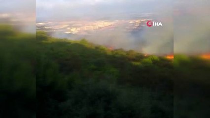Pendik'teki orman yangını davasında karar...Aydos Ormanı'nı yakan örgüt şüphelisine müebbet ve 25...