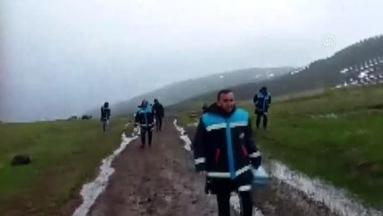 Süphan Gölü'nde kıyıya vuran ölü balıklar, ekipleri harekete geçirdi