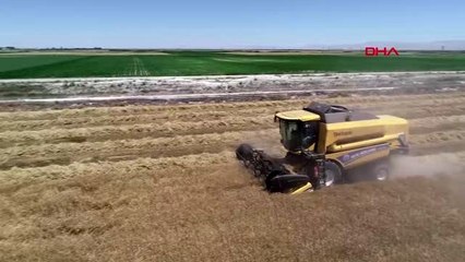 KONYA 'Hububat alım fiyatları, çiftçinin buğdaya ısınmasına vesile oldu'