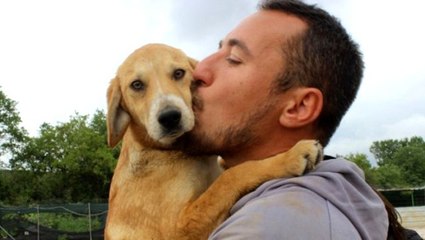 Sokak hayvanları için dernek kuran genç, 500'den fazla köpeğe bakıyor