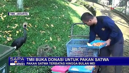 Terdampak Corona, Taman Mini Buka Donasi Untuk Makanan Satwa