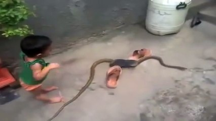 small child vs snake