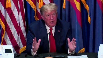 Trump acknowledges some will be 'affected badly' by country reopening