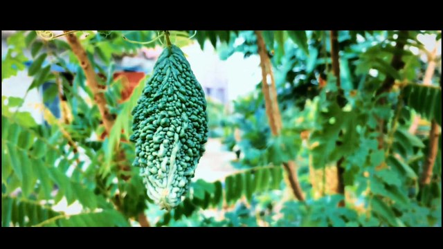 CINEMATIC SHO\\Motto Vlogs |\ study in uk from Bangladesh .