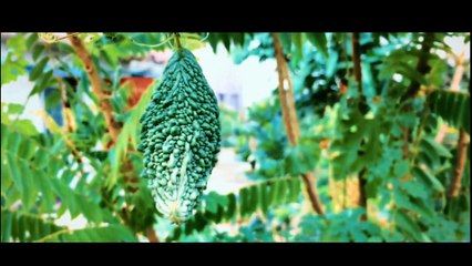 CINEMATIC SHO\\Motto Vlogs |\ study  in uk  from Bangladesh .