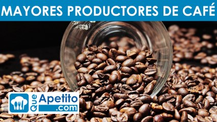 Los 10 países que mas café producen al año | QueApetito