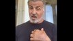 Sylvester Stallone talks Creed 3, Rocky 7 : 