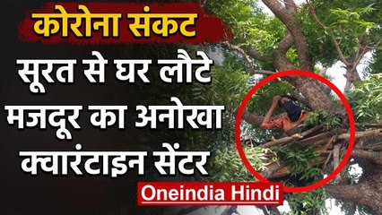 Coronavirus: सूरत से लौटा मजदूर घर में नहीं थी जगह तो पेड़ को बनाया क्वॉरेंटाइन | वनइंडिया हिंदी