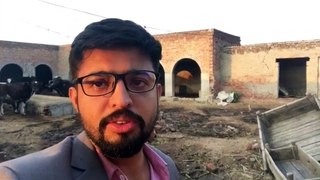 Village Life in Punjab | Village Life | One day at Village | vlog