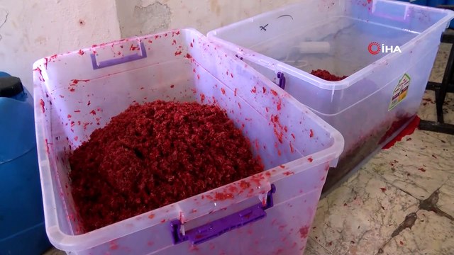 Küçükçekmece’de kaçak nargile imalathanesine baskın: 1 ton 350 kilo kaçak nargile tütünü ele geçirildi