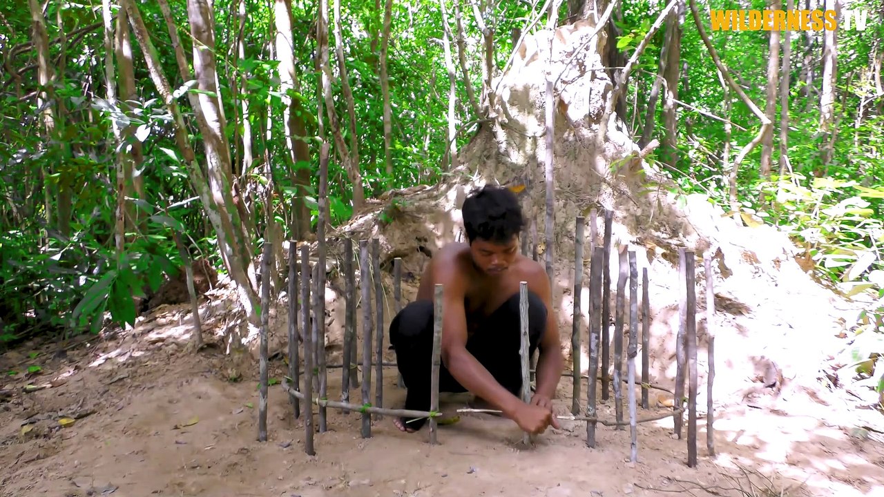 Collect Abandoned Puppy and Build Castle Mud Dog House on Unused Ant Hill
