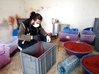 Küçükçekmece'de 1 ton 350 kilo kaçak nargile tütünü ele geçirildi