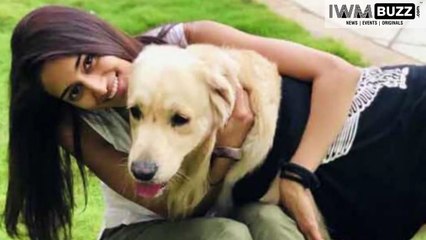 TV Celebs’ Self Quarantine time with their pets Erica Fernandes, Karishma Tanna, Anita