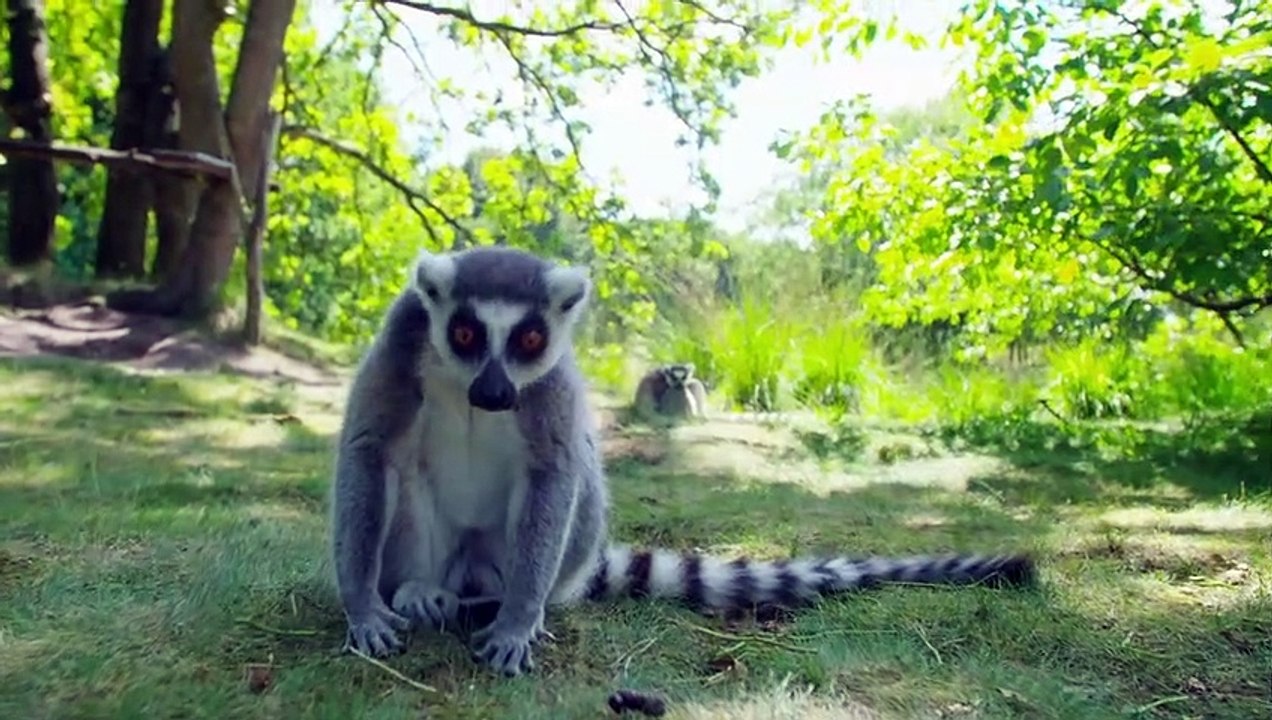 VisitBrabant - Safaripark de Beekse Bergen - Eindhoven Airport Region | North Brabant, Netherlands