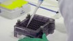 Pfizer begins human trials of coronavirus vaccine