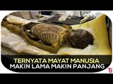 WOW! Ternyata Mayat Manusia Makin Lama Makin Panjang