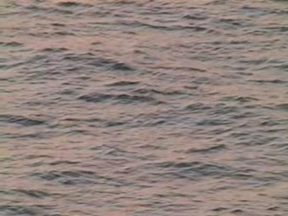 Cobaltseason-water rising-H.264 800Kbps