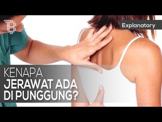 Kenapa Jerawat Ada di Punggung?