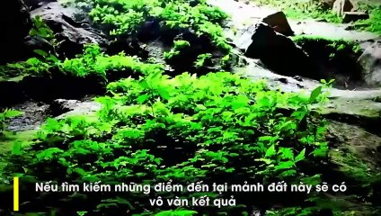khi đặt chân tới Quảng Bình