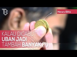 Descargar video: Kalau Dicabut Uban Jadi Tambah Banyak Mitos Atau Fakta?