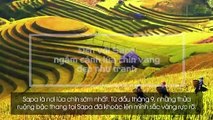 Mùa thu, hãy đến với Tây Bắc để đắm mình trong vẻ đẹp rực rỡ của những thửa ruộng bậc thang