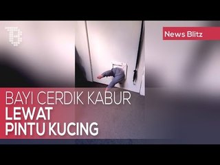 下载视频: Bayi Cerdik Kabur Lewat Pintu Kucing