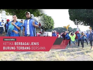 Ketika Berbagai Jenis Burung Terbang Bersama