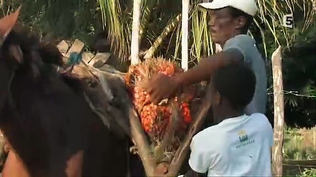 France 5 : C.N, 2 pubs, B.A, Fourchette & sac à dos : Brésil, C'est notre affaire : 06-09-2008