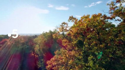 [BA] Le génie des arbres - 14/05/2020