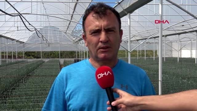 ANTALYA Çiçekçiler, Anneler Günü'nde kısıtlamadan muaf olmak istiyor