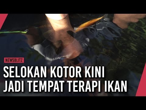 Selokan Kotor Disulap Jadi Tempat Terapi Ikan