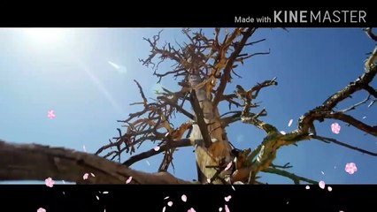 ENTA_HABIBI_|_Rahim_Pardesi_ft_Natalia_Itani_(_OFFICIAL_SONG_)_|_PS_Records(720p)(720p)