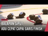 Balapan Siput, Adu Cepat Capai Garis Finish