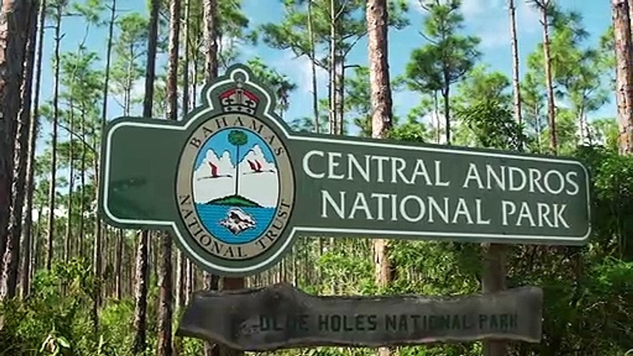 Andros Island: An Offshore and Inshore Fishing Mecca