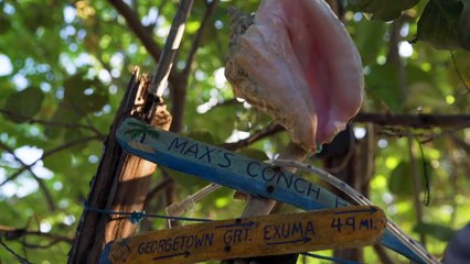 Long Island, Bahamas: The Ultimate Getaway