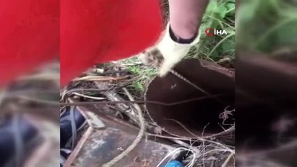 Sondaj kuyusuna düşen yavru köpek kurtarıldı