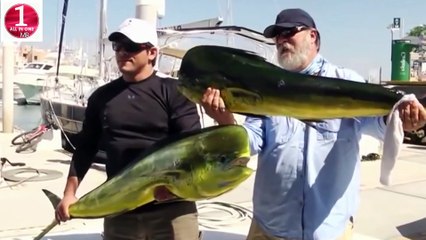 World best top funny video | latest funny clip 2020 | Try to not laugh fun videos by ALL IN ONE