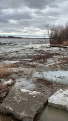 Deer Makes it to River Bank After Ice Breaks Up