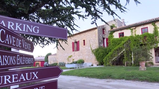 French wine growers launch 'video, drive-in wine-tasting' in bid to beat sales slump