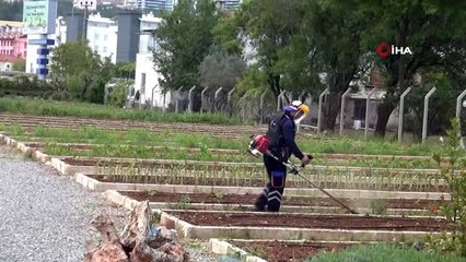 Yerel tohumlar toprakla buluşuyor