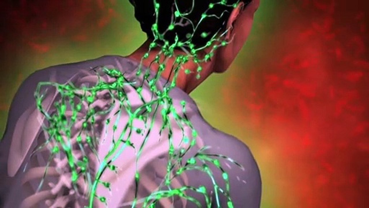 Videografik: So funktioniert das Immunsystem