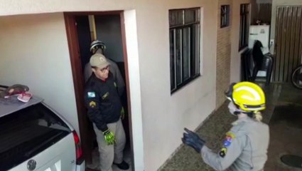 Capivara é capturada em imóvel no Bairro Santo Onofre