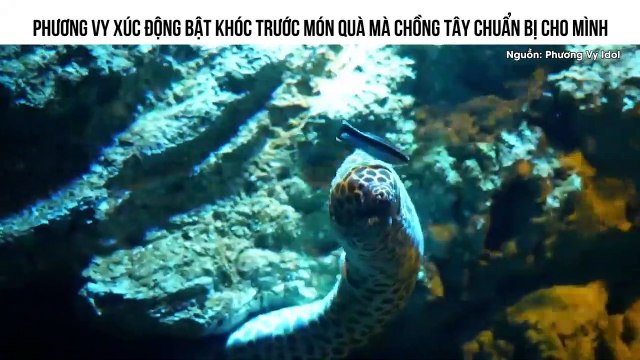 PHƯƠNG VY XÚC ĐỘNG BẬT KHÓC TRƯỚC MÓN QUÀ MÀ CHỒNG TÂY CHUẨN BỊ CHO MÌNH