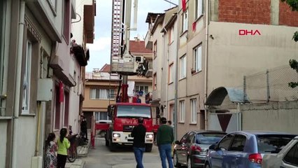 BURSA Annelerinin terk ettiği yavru kedileri itfaiye kurtardı