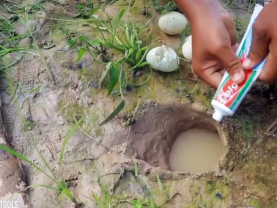 Çok İlginç Balık Tutma Yöntemi