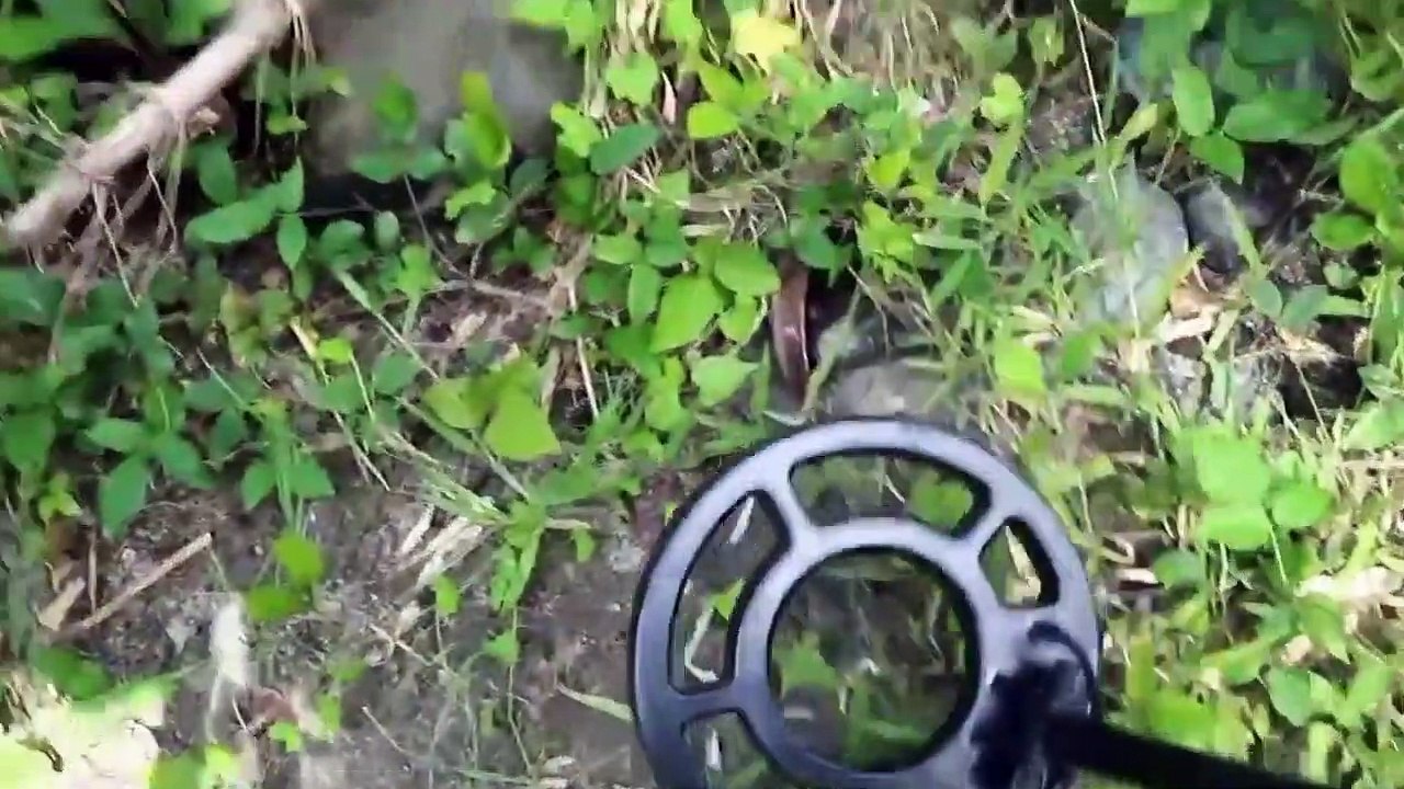 Güney Afrikada SAF ALTIN buldu (define)