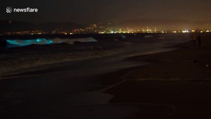 Magnificent bioluminescent waves in Los Angeles will leave you in satisfied awe