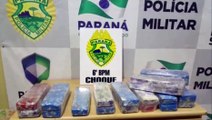 Equipe de Operações com Cães, do Choque, apreende 12 kg de maconha em Cascavel