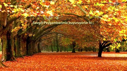 HUZURA DOGRU 20200506